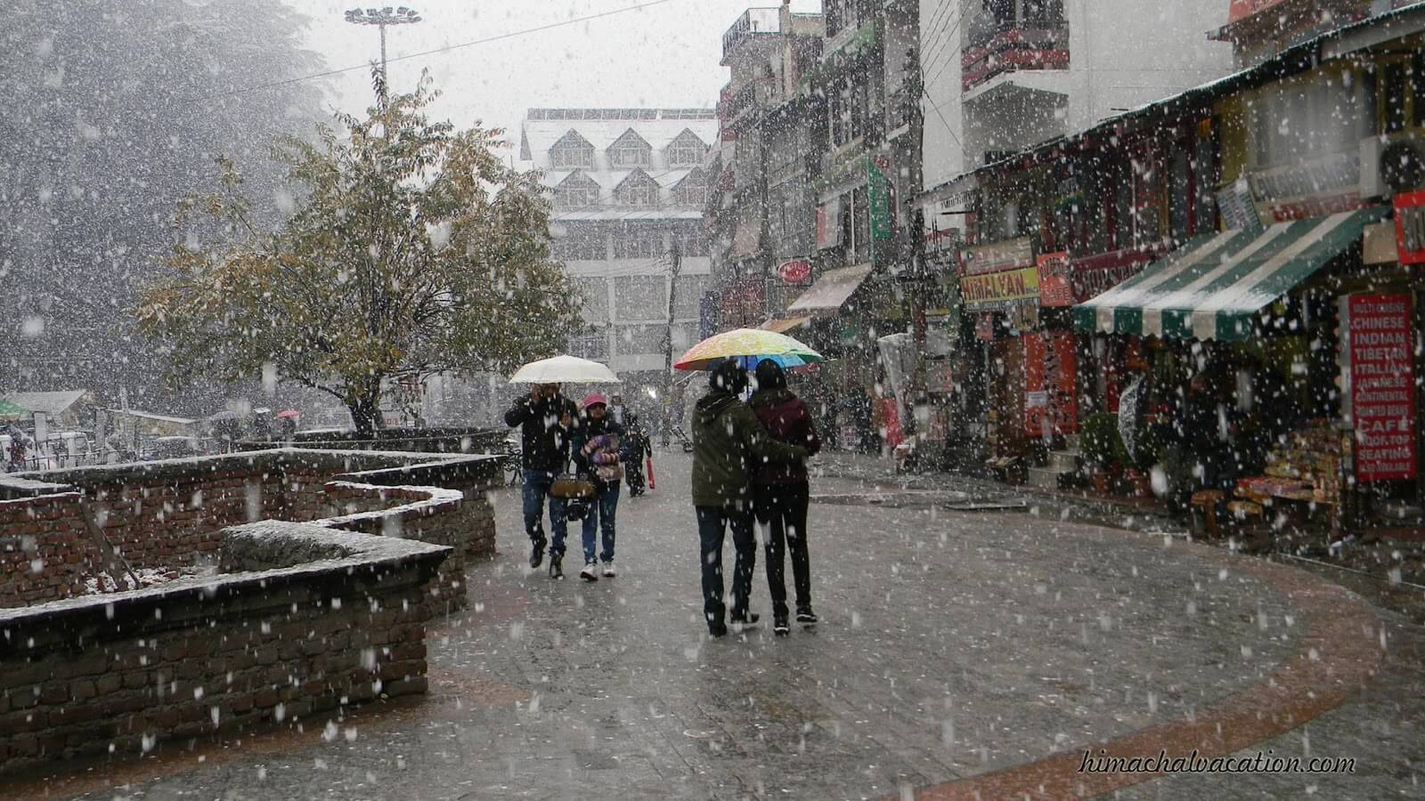 Mesmerizing Himachal