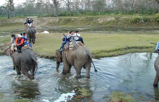 Corbett & Nainital