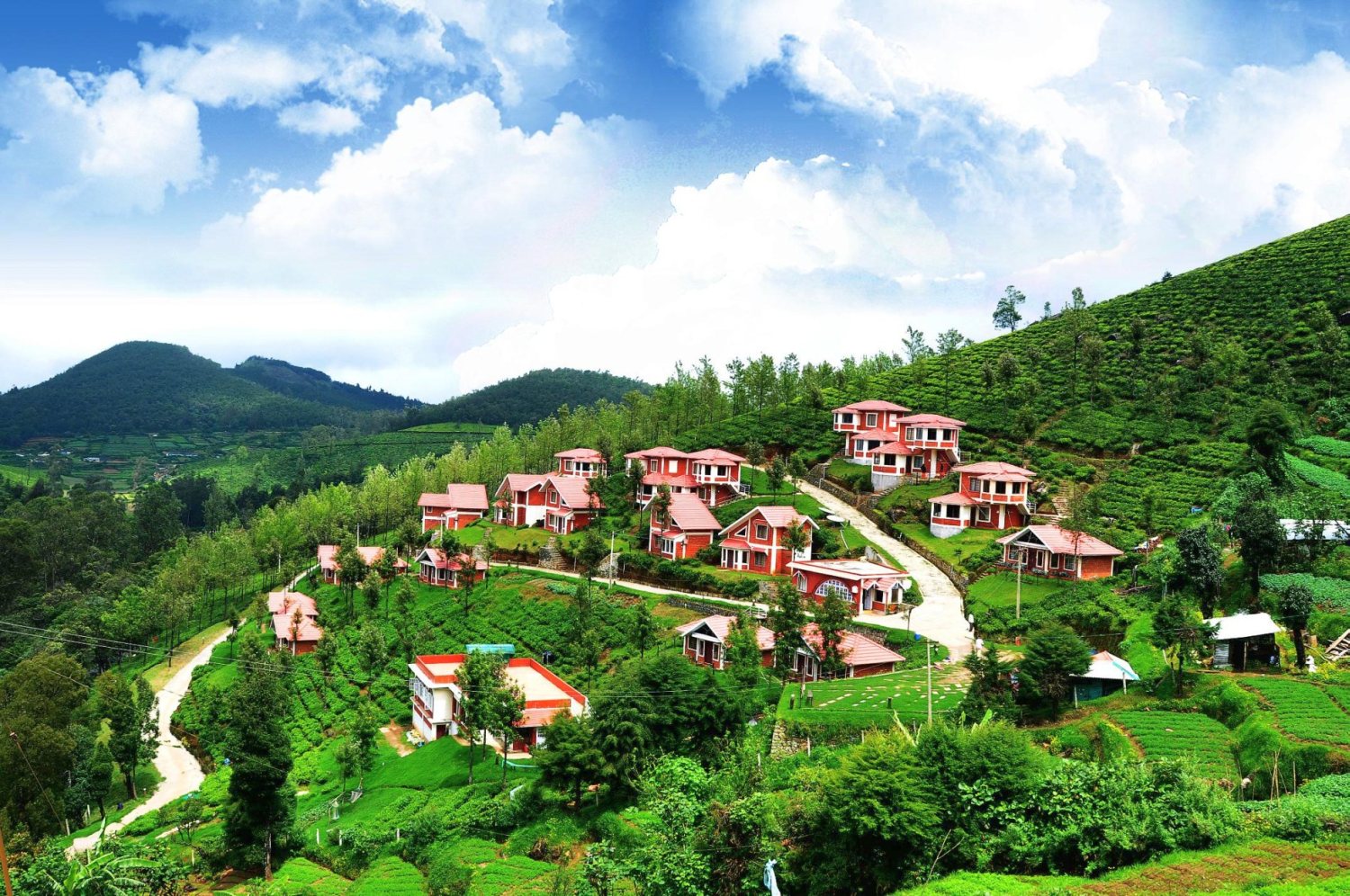 Ooty Wayanad Coorg Trail 