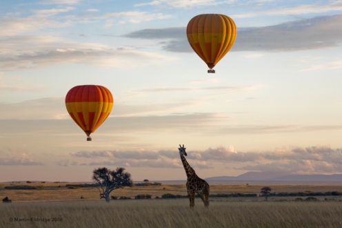 MAGICAL KENYA 