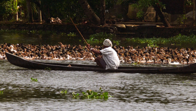 Backwater Delight