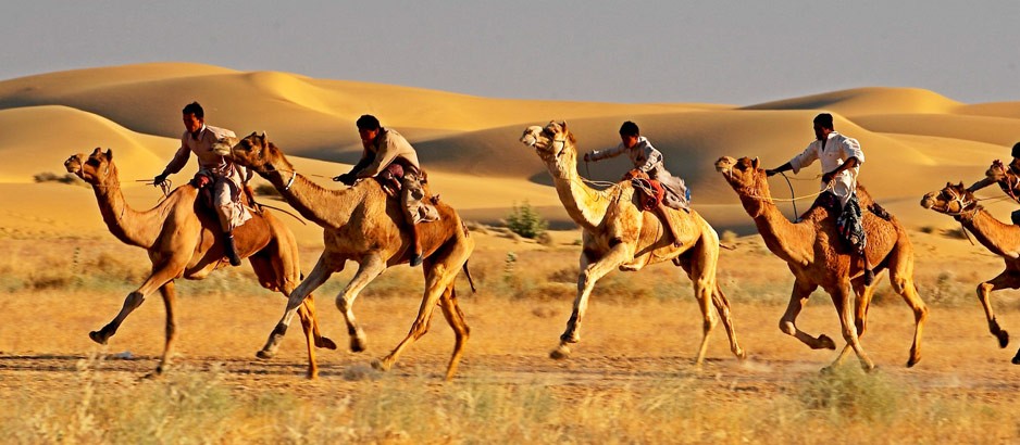 Pride of Rajasthan