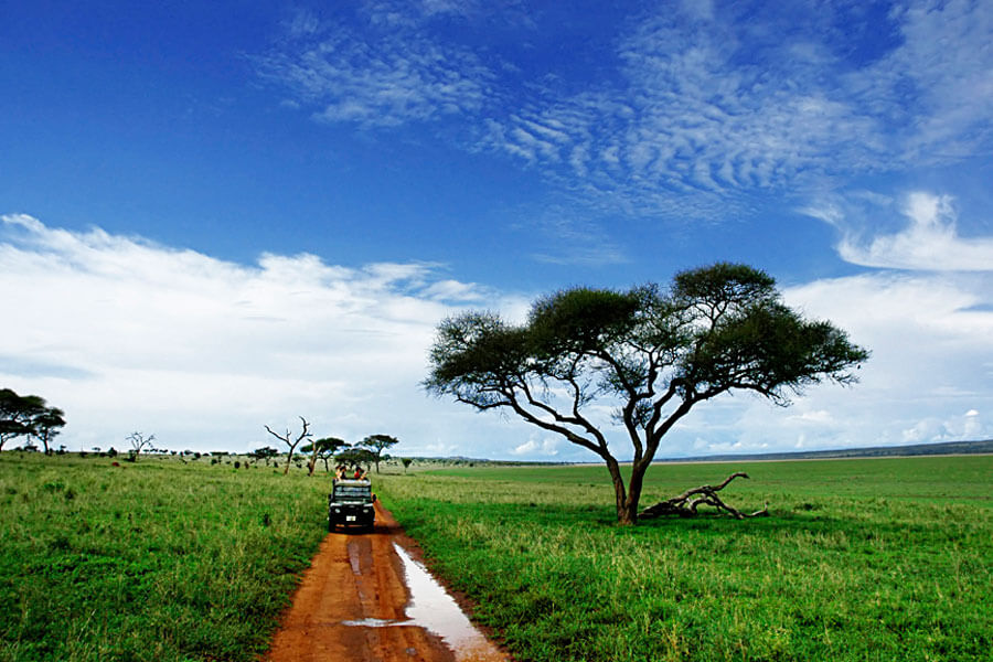 MAGICAL KENYA 